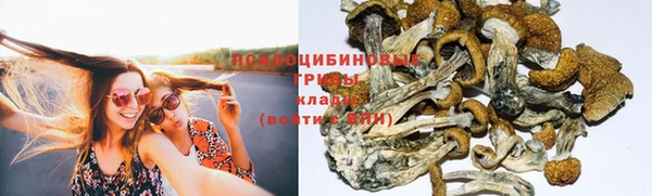 шишки Мегион