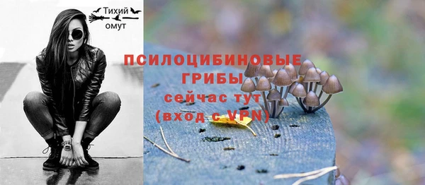 spice Медногорск