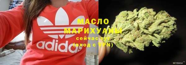 шишки Мегион