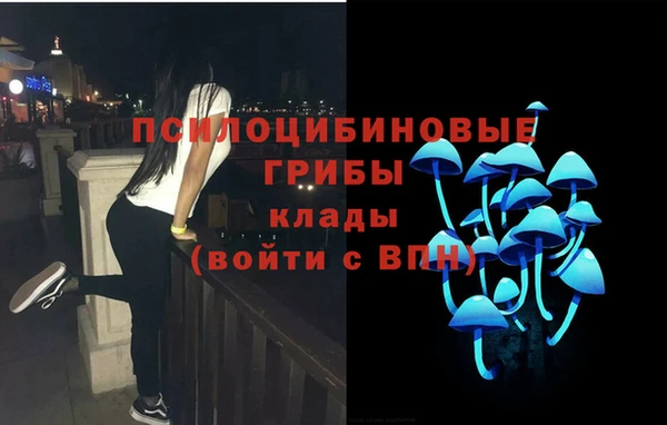 наркотики Медвежьегорск