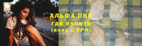 шишки Мегион
