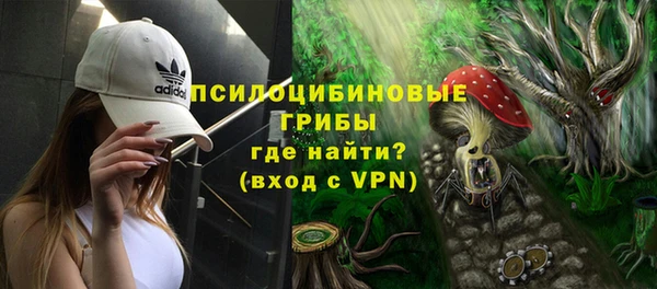 шишки Мегион