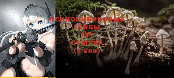 наркотики Медвежьегорск