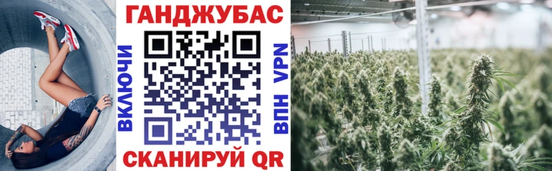 Бошки марихуана THC 21%  сколько стоит  Плавск 